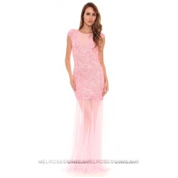 Baccio Couture Pink Ines Hand Painted Evening Dress
