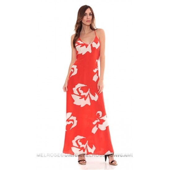 Karina Grimaldi Bolonia Print Maxi Dress