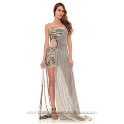 Reve Silver Sequins Long Dress